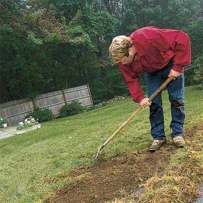 person prepping damaged lawn for spring seeding