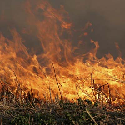 grass fire