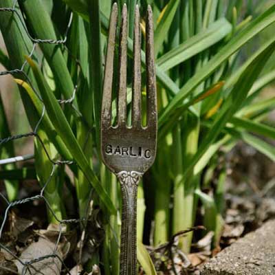 vintage fork garlic garden marker