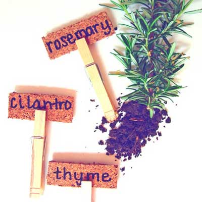 cork squares garden markers