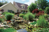 full view of beautiful monster pond built behind readers home