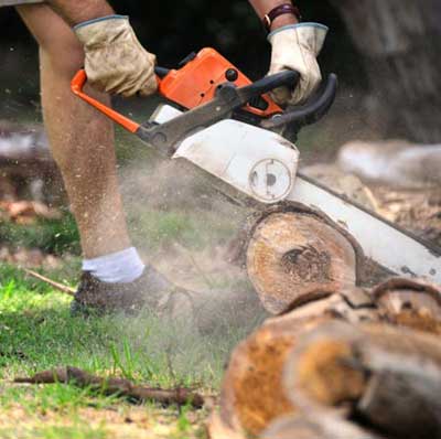 man using chainsaw on fallen tree