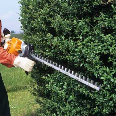 hedge clippers