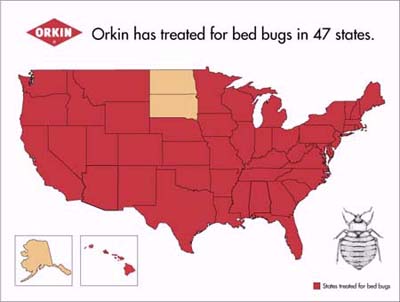 bed bugs map