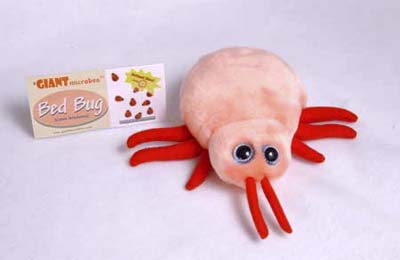 bedbug toy