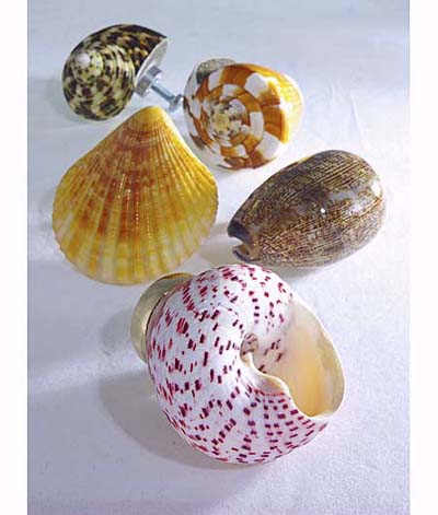 shell pulls