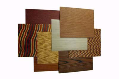 fake veneer