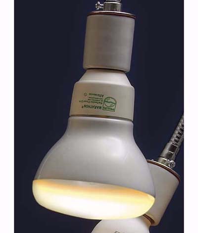 Philips compact fluorescent for recessed lighting