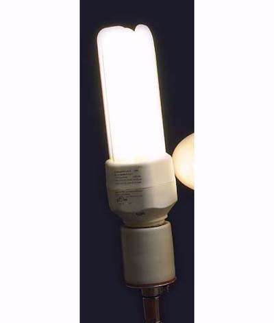 Lumiram flourescent lighting that reproduces natural light