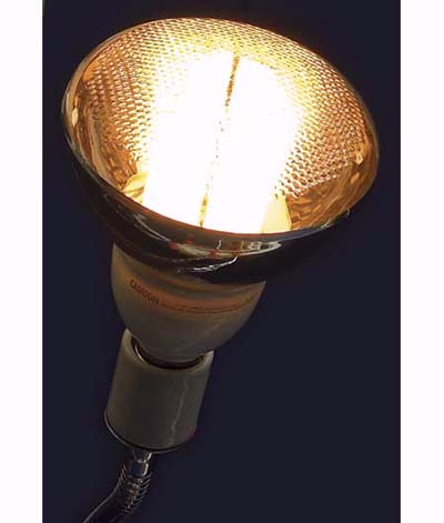 Bulbrite reflector flood fluorescent lighting for recessed fixtures