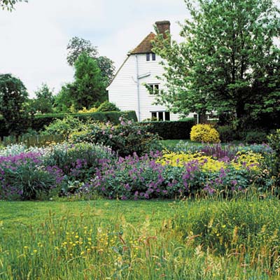 habitat for birds, bees, butterflies