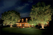 house landscaped with exterior lighting