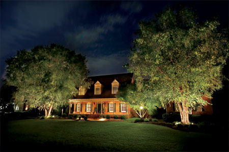 landscape lighting ideas for trees