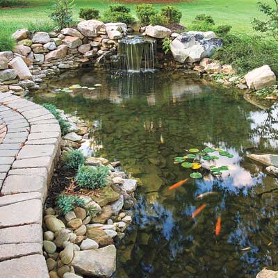 a backyard pond