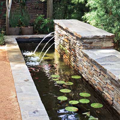 a backyard pond