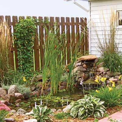 a backyard pond