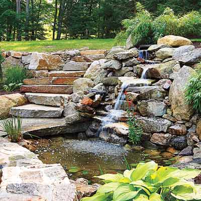 a backyard pond