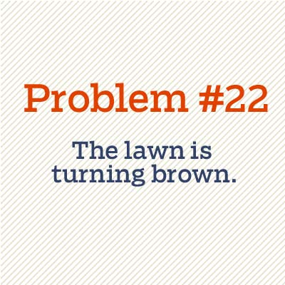 lawn is turning brown