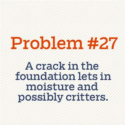 crack in foundation allows critters inside