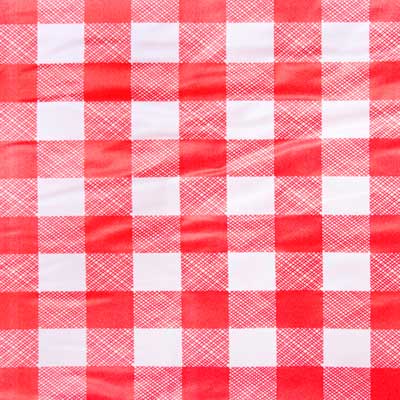 red and white checked vinyl tablecloth