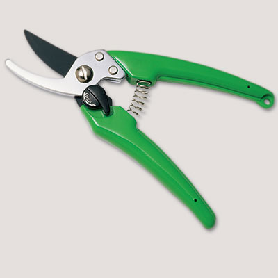 hand prune shrubs as an example of Free or Low-Cost Fix-ups tips