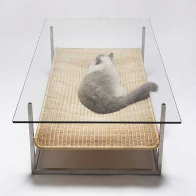 Glass table with wicker cat bed-shelf