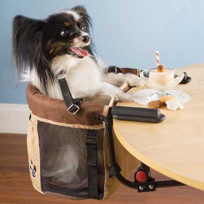 Pet high chair clips onto table