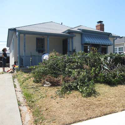 before forties reader remodel
