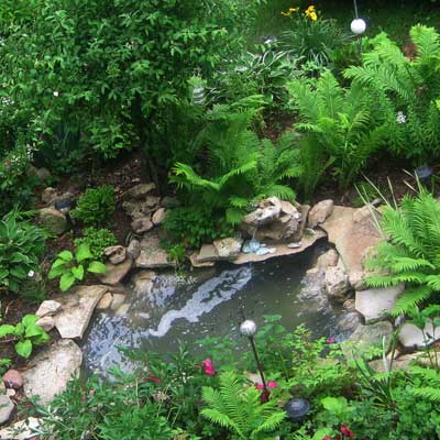 a backyard pond in Brownsville, WI