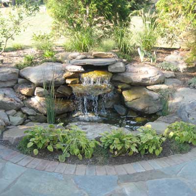 a backyard pond in Canton, OH