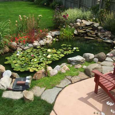 a backyard pond in Erie, Pennsylvania