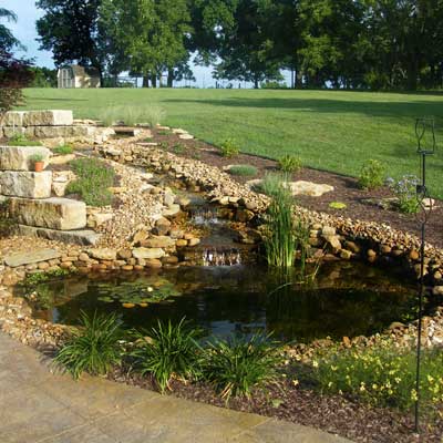 a backyard pond in Lee's Summit, Missouri