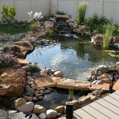 a backyard pond in Fruita, Colorado