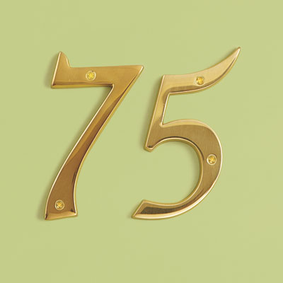 19th Century style shiny brass house numbers
