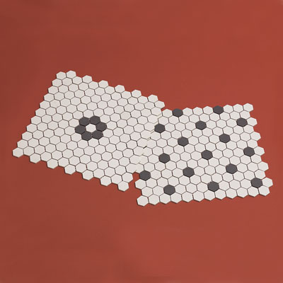 Patterned hex tile
