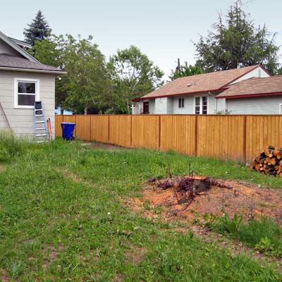 craftsman house with bare lawn