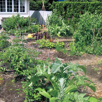 community garden