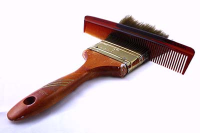 comb from grooming paint brush bristles