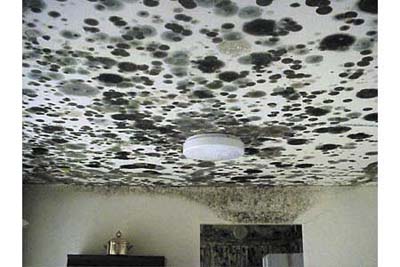 mold on the ceiling