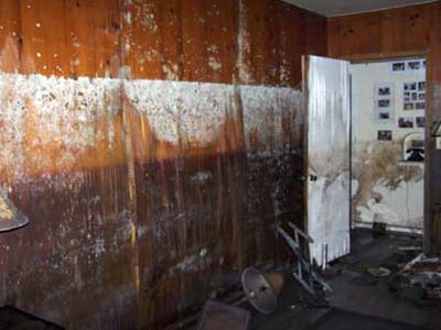 mold from Katrina flooding
