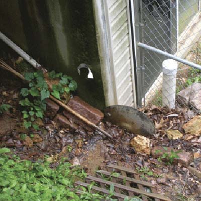 a cymbal used as a rain diverter