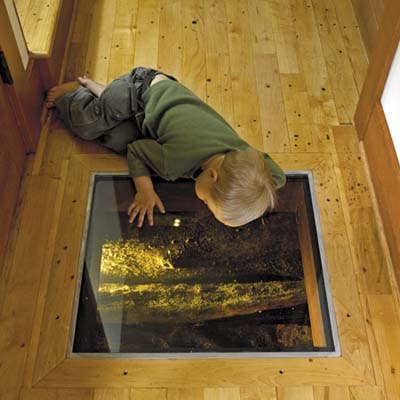 boy peering through the window in the floor of remodeled houseboat
