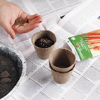 person putting coffee grounds into plant soil 