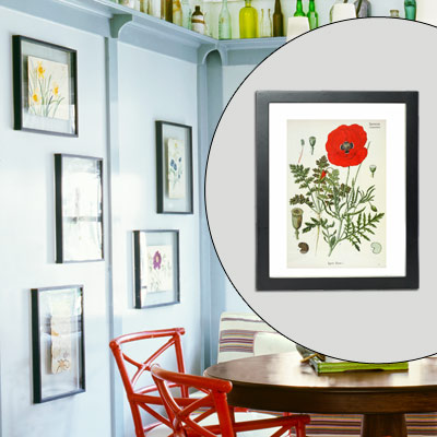 botanicals artwork in floating frames