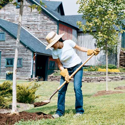 woman shoveling dirt to make a rain garden in yard