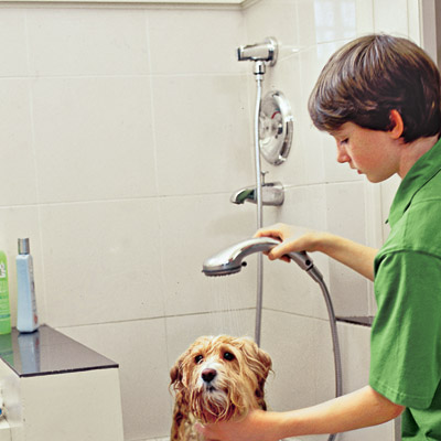 Dog washing station sprayer shower