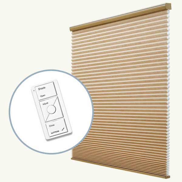 Top 100 Products 2012 tech remote control window shades