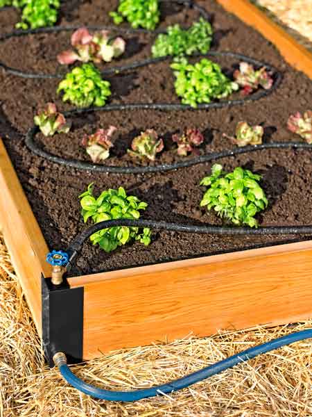 Top 100 Products 2012 outdoor living raised bed set 