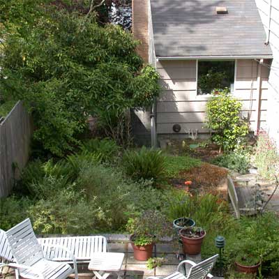 From Shady to Sunny: Before for the this old house reader remodel yard and garden winners 2012