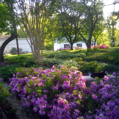 New Yard for 250-Year-Old House: After  for the this old house reader remodel yard and garden winners 2012